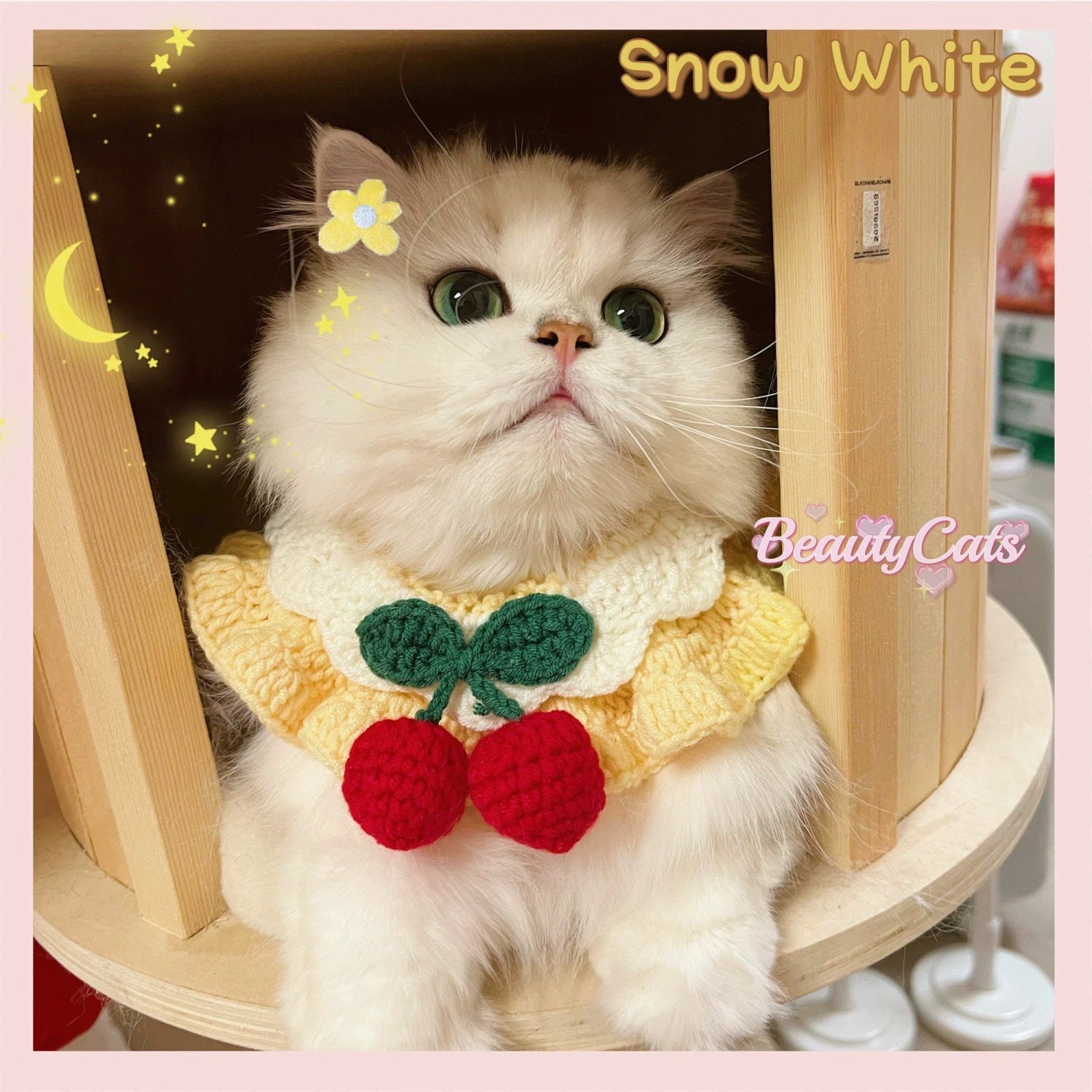 Knitted Pet Collars & Bibs for Cats and Dogs - Image 22