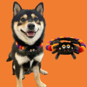 Halloween Pom-Pom Pet Collars & Hat Sets