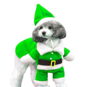 Christmas Pet Outfit & Dress