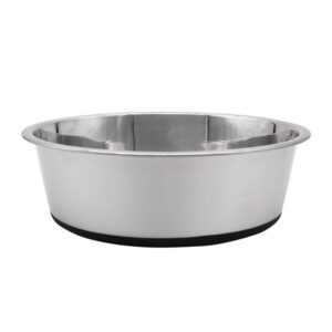 Stainless Steel Pet Bowl with Non-Slip Base