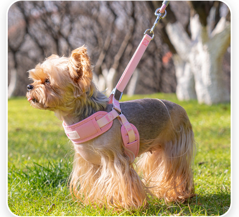 Everyday Ergonomic No-Pull Dog Harness & Leash Set - Image 2