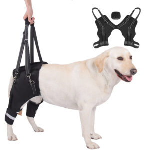 Orthopedic Rear-Leg Mobility Lift Harness & Support Sling