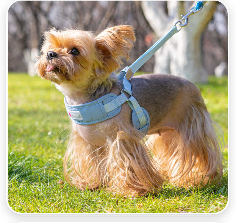 Everyday Ergonomic No-Pull Dog Harness & Leash Set - Image 3