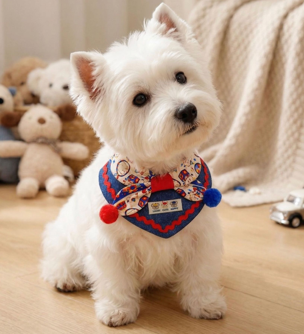 Whimsical Circus Harlequin Pet Collar & Frill Bandana - Image 3
