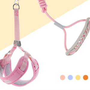 Everyday Ergonomic No-Pull Dog Harness & Leash Set