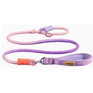 Adjustable Pet Leash - Pink & Purple