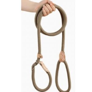 P-Chain Slip Lead Dog Leash