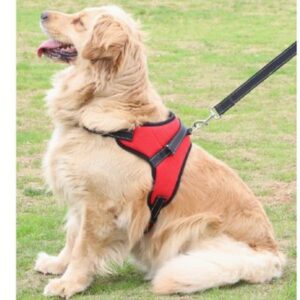 No-Pull Dog Harness