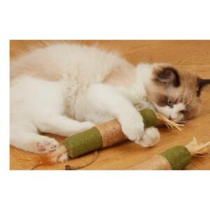 Catnip & Silvervine Chew Toy